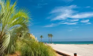Palmeras y playa de Benicàssim, ideal para saber qué hacer en Benicàssim en pareja. Disfruta del sol y el mar.