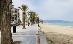 Un tranquilo paseo marítimo en Benicàssim con palmeras, edificios y la playa.
