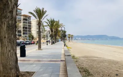 Un tranquilo paseo marítimo en Benicàssim con palmeras, edificios y la playa.