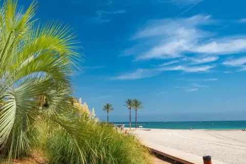 Palmeras y playa de Benicàssim, ideal para saber qué hacer en Benicàssim en pareja. Disfruta del sol y el mar.