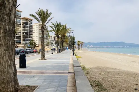 Un tranquilo paseo marítimo en Benicàssim con palmeras, edificios y la playa.