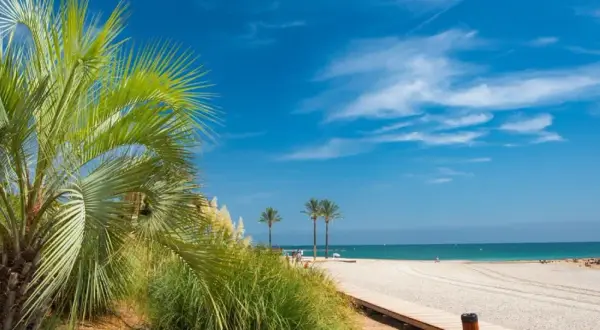 Palmeras y playa de Benicàssim, ideal para saber qué hacer en Benicàssim en pareja. Disfruta del sol y el mar.