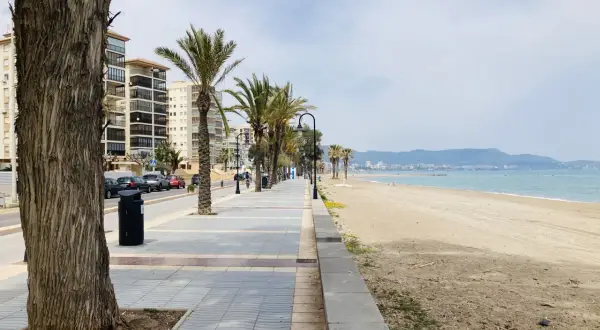 Un tranquilo paseo marítimo en Benicàssim con palmeras, edificios y la playa.