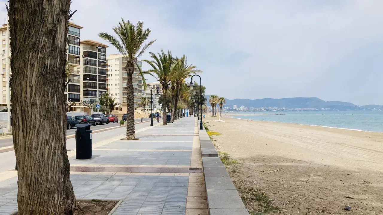 Un tranquilo paseo marítimo en Benicàssim con palmeras, edificios y la playa.