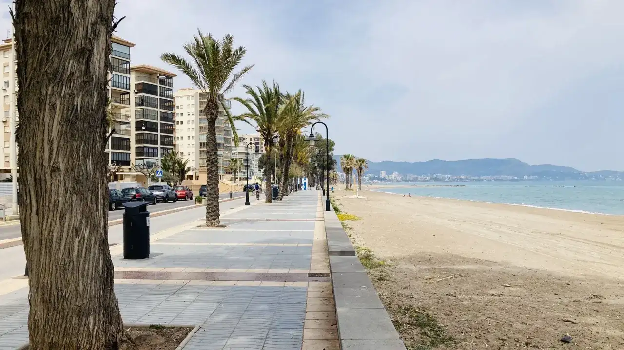 Un tranquilo paseo marítimo en Benicàssim con palmeras, edificios y la playa.
