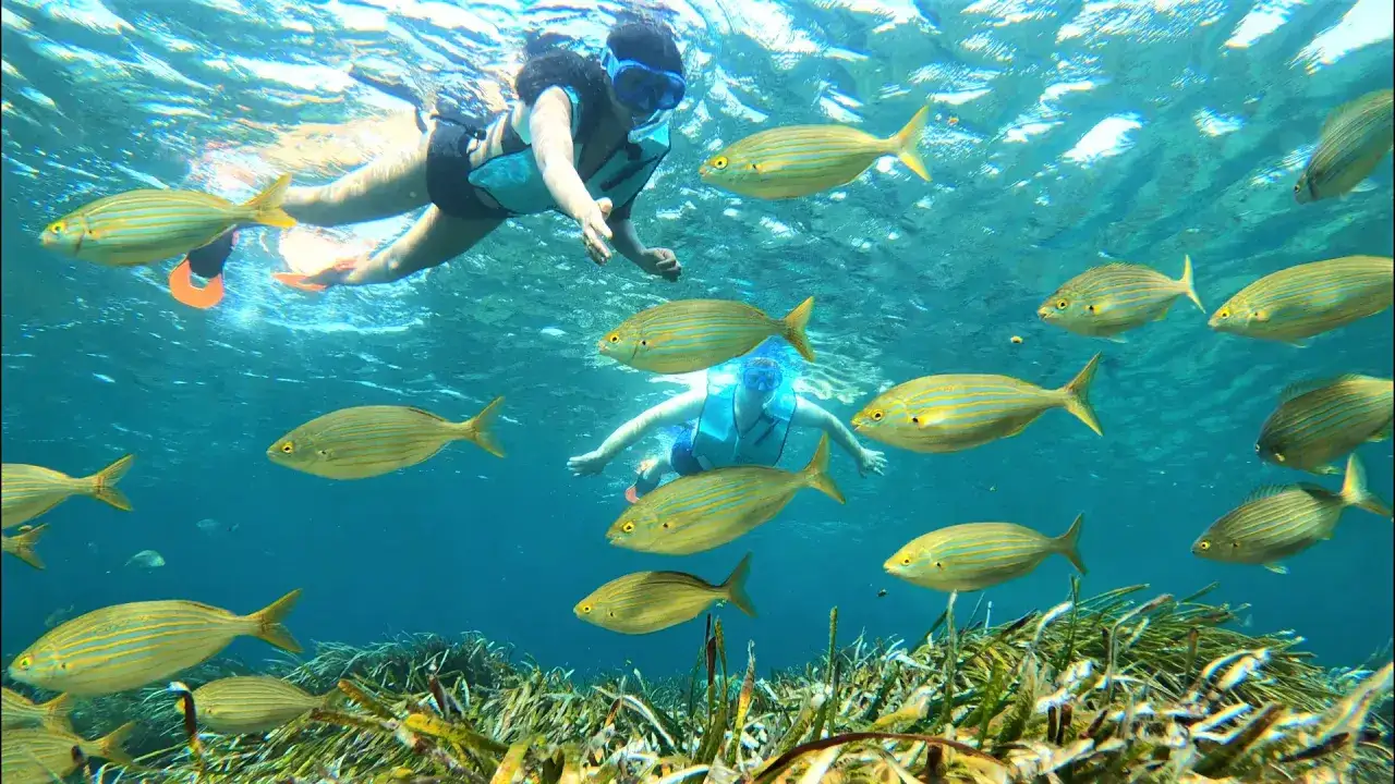 Dos personas nadan entre peces dorados en una cala del sur.