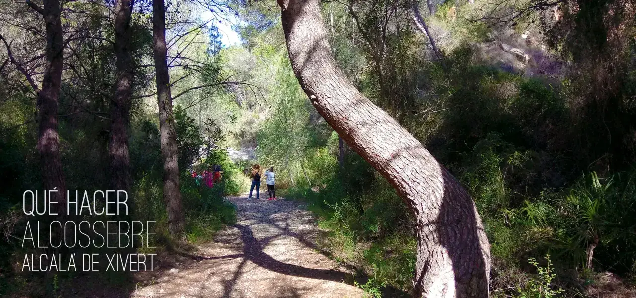 Senderos y naturaleza en Alcossebre. Descubre qu&eacute; ver en Alcossebre y disfruta de un d&iacute;a de senderismo en familia.