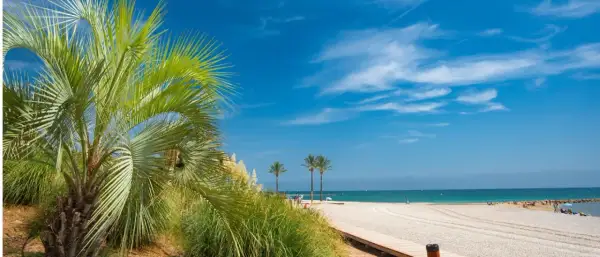 Palmeras y playa de Benicàssim, ideal para saber qué hacer en Benicàssim en pareja. Disfruta del sol y el mar.