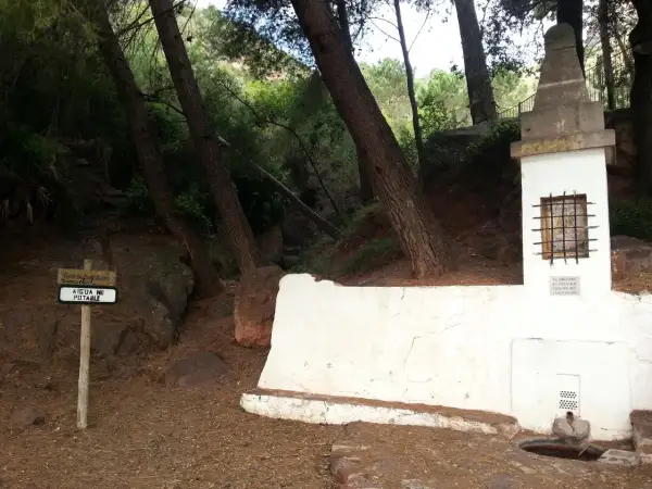 En la ruta de las fuentes, un cartel indica "AIGUA NO POTABLE" junto a una fuente de piedra y un pequeño altar en un bosque.
